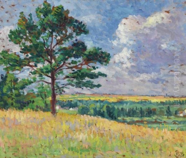 Paysage Pres De Mereville Oil Painting by Maximilien Luce