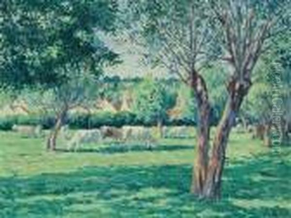 Eragny, Troupeau De Vaches Dans Un Pre Ombrage Oil Painting by Maximilien Luce