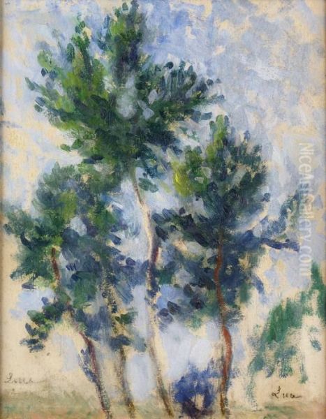 Les Grands Arbres Oil Painting by Maximilien Luce