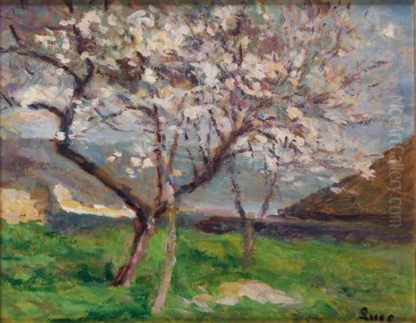 Arbres En Fleurs A Rolleboise Oil Painting by Maximilien Luce