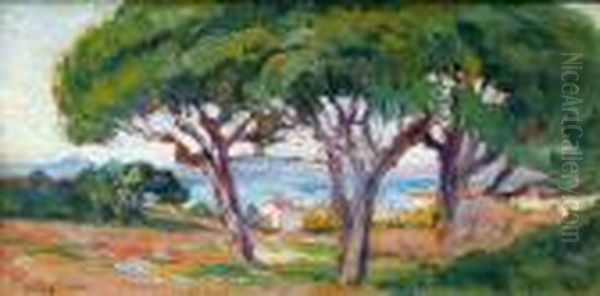 Saint-tropez, Pins Parasols, 1903
 Huile Sur Papier Maroufle Sur Toile Oil Painting by Maximilien Luce