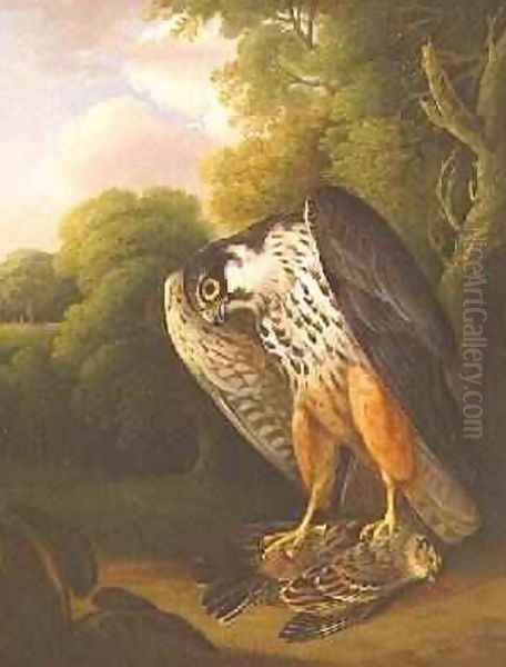 A Hobby Hawk and Prey shot at Buxton, 1812 Oil Painting by Robert Wilkinson Padley