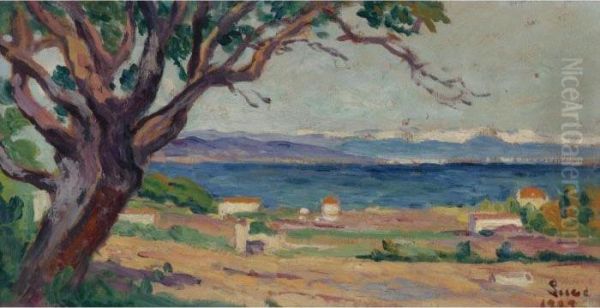 La Baie Des Canebieres A Saint Tropez Oil Painting by Maximilien Luce