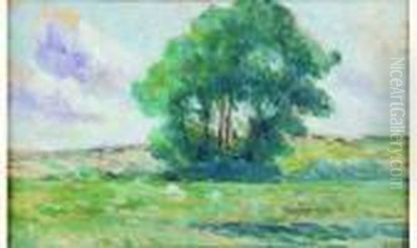 Prairie Au Bouquet D'arbres Oil Painting by Maximilien Luce