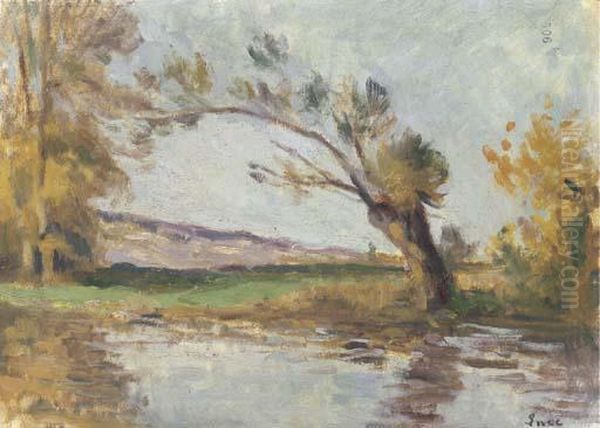 Rolleboise, Saule Sur Les Bords Du Bras De Seine Oil Painting by Maximilien Luce