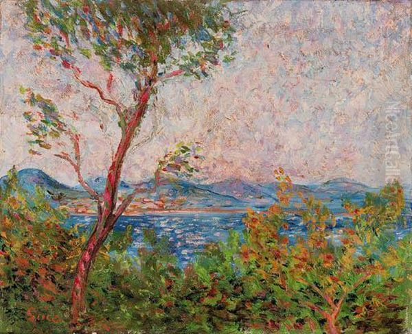 La Mer Mediterranee A Saint Tropez Oil Painting by Maximilien Luce