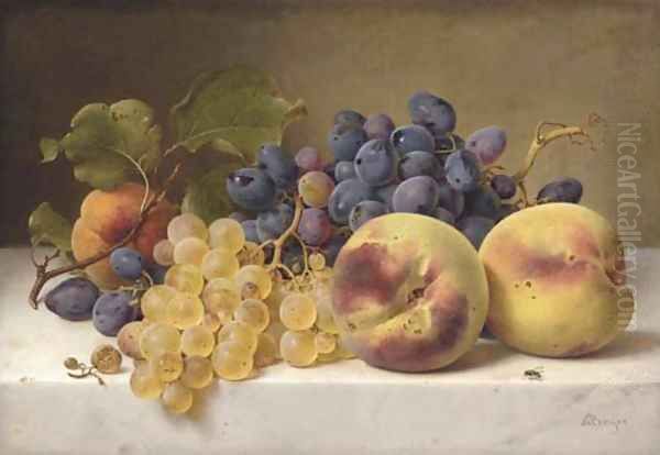 A Still Life with Peaches and Grapes on a Marble Ledge Oil Painting by Johann Wilhelm Preyer