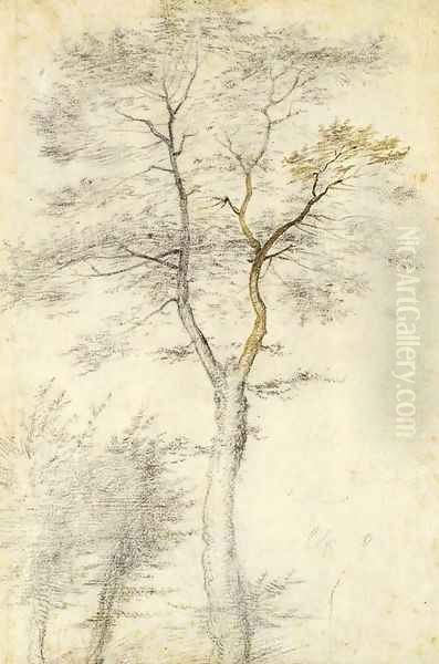 Study of trees and two saplings Oil Painting by Fra Bartolommeo della Porta