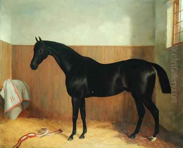 Tommy, Portrait of a Horse, c.1870s Oil Painting by John Paul