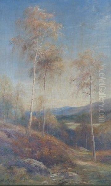 Birch Trees With Stag Oil Painting by John MacWhirter