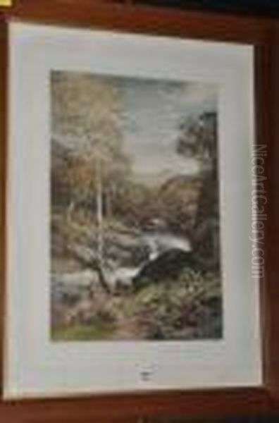 The Fairy Of The Glen Oil Painting by John MacWhirter