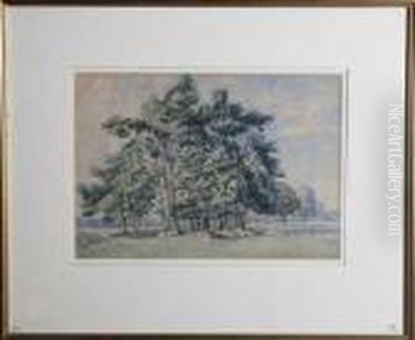 A Clump Of Pines Oil Painting by John MacWhirter