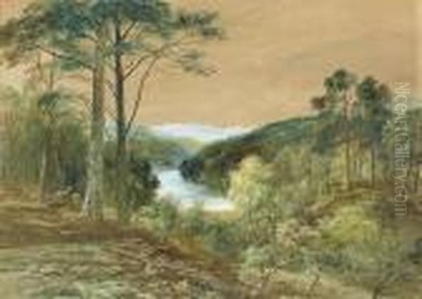 Deer In A Wooded River Landscape Oil Painting by John MacWhirter