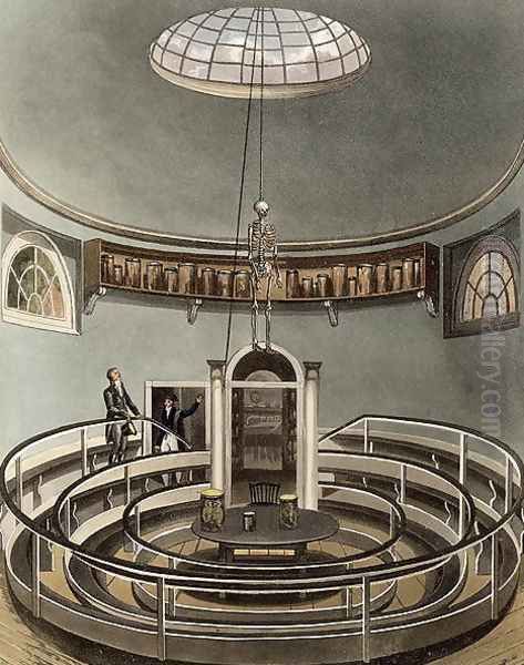 Interior of the Theatre of Anatomy, Cambridge, from The History of Cambridge, engraved by Joseph Constantine Stadler fl.1780-1812, pub. by R. Ackermann, 1815 Oil Painting by Augustus Charles Pugin