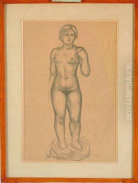 femme Nue Debout Vue De Face Oil Painting by Aristide Maillol