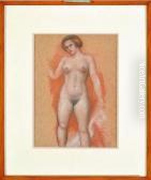 femme Nue Debout Vue De Face Oil Painting by Aristide Maillol