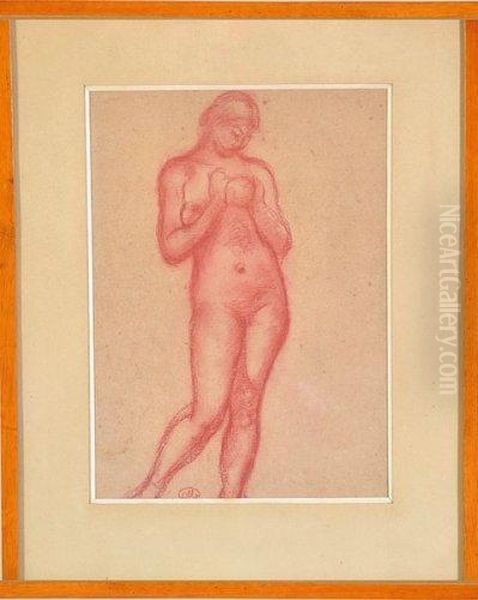 femme Nue Debout Vue De Face Tenant Un De Ses Seins Oil Painting by Aristide Maillol