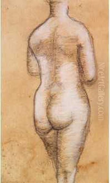 Nu Feminin De Dos Oil Painting by Aristide Maillol