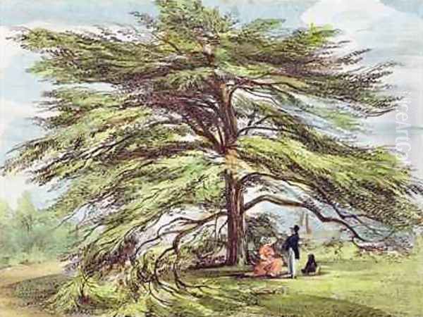 The Lebanon Cedar Tree in the Arboretum, Kew Gardens, plate 21 from Kew Gardens A Series of Twenty-Four Drawings on Stone, engraved by Charles Hullmandel 1789-1850 published 1820 Oil Painting by Papendiek, George Ernest