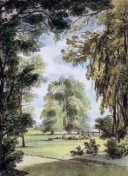 The Sister Trees, Kew Gardens, plate 8 from Kew Gardens A Series of Twenty-Four Drawings on Stone, engraved by Charles Hullmandel 1789-1850 published 1820 Oil Painting by Papendiek, George Ernest