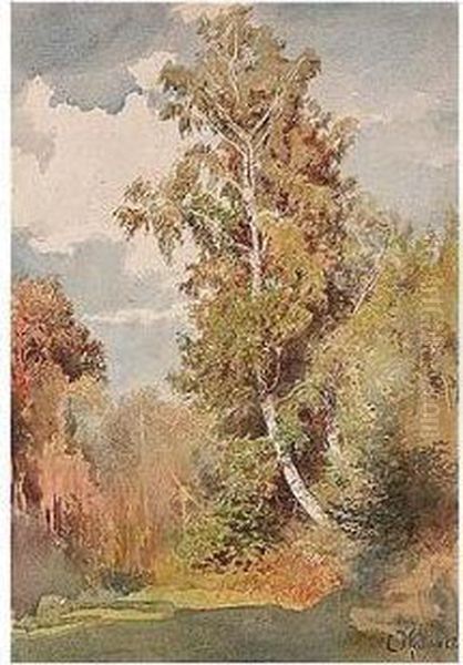 A Birch In The Glade Oil Painting by Konstantin Egorovich Egorovich Makovsky