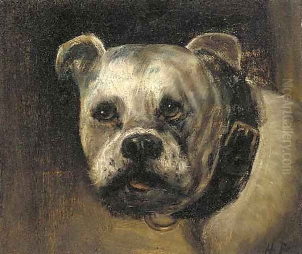 A bulldog Oil Painting by Henry Maurice Page