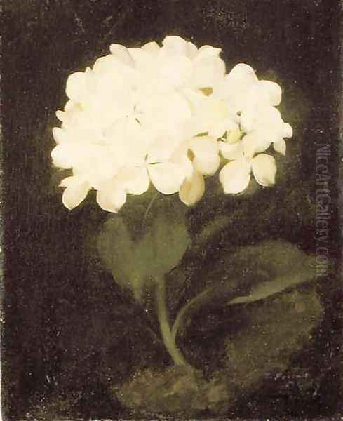 White Hydrangea Oil Painting by James Stuart Park