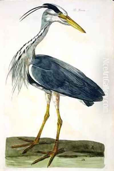 The Heron Ardea cinerea plate from The British Zoology, Class II Birds, engraved by Peter Mazell fl.1761-97 1766 Oil Painting by Peter Paillou