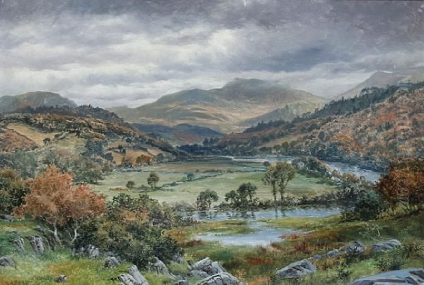 Valley Of The Union With View Of Arran Mawddwy Oil Painting by William Henry Mander