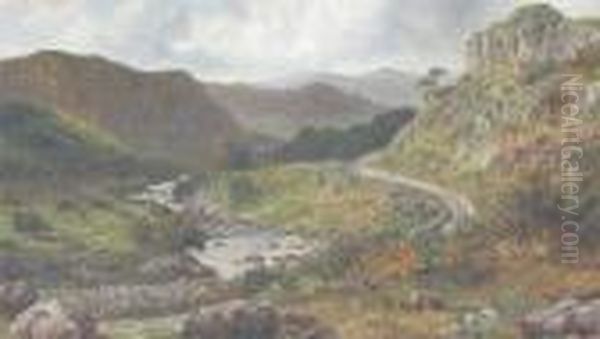 In The Lledr Valley Near Pant-y-pont North Wales Oil Painting by William Henry Mander