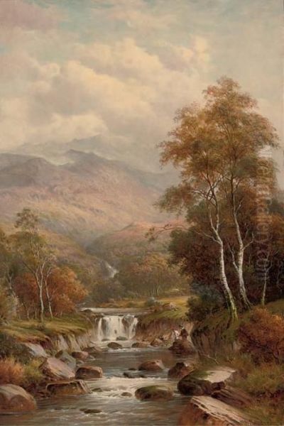 Falls, Near Aberystwyth Oil Painting by William Henry Mander