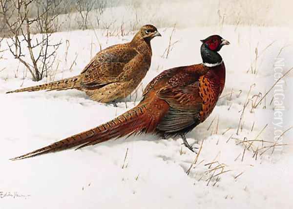 A Cock and Hen Pheasant in the Snow Oil Painting by Edward Penny