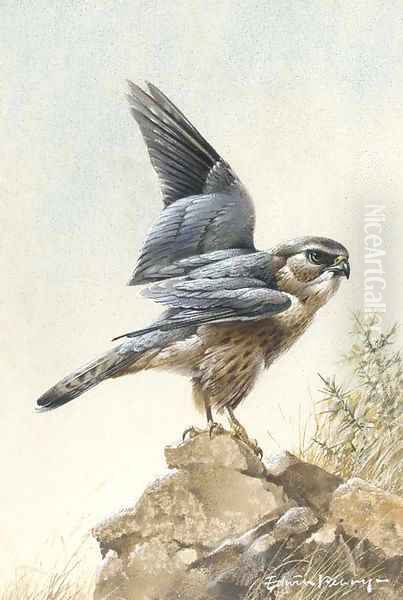 A merlin Oil Painting by Edward Penny