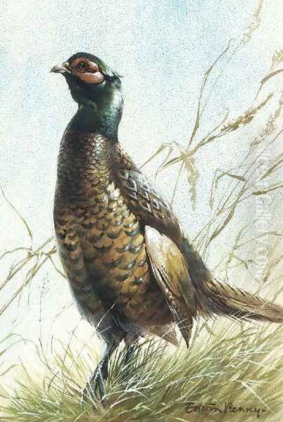 A pheasant Oil Painting by Edward Penny