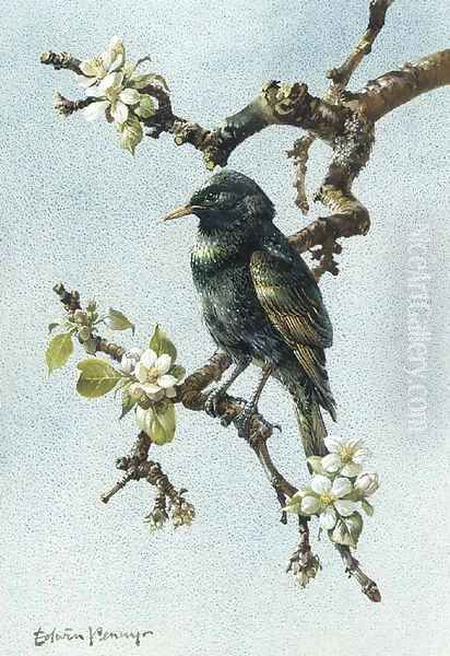 A starling Oil Painting by Edward Penny