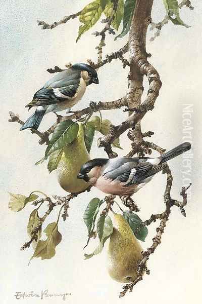 Bullfinches in a pear tree Oil Painting by Edward Penny