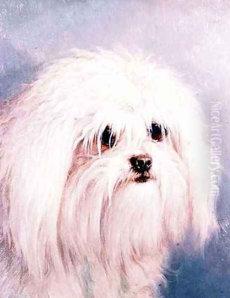 Maltese Terrier Oil Painting by H. Morley Park