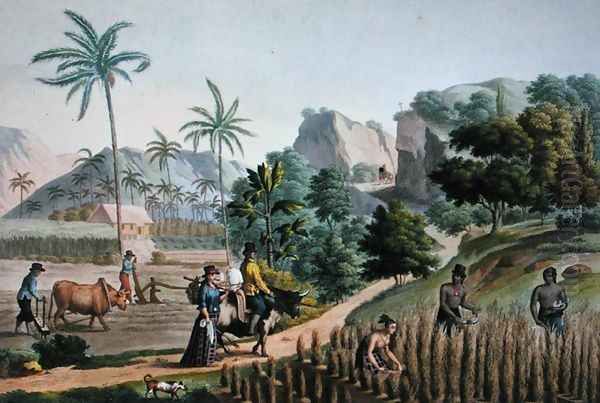 Island of Guam Agricultural Works, from Voyage Autour du Monde sur les Corvettes de LUranie 1817-20 engraved by Pomel, published 1825 Oil Painting by Alphonse Pellion