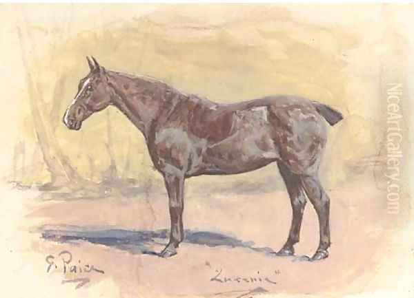 'Lucenie', a bay hunter in his stable Oil Painting by George Paice