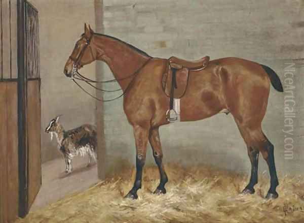 A saddled bay hunter in a stable with a goat Oil Painting by George Paice