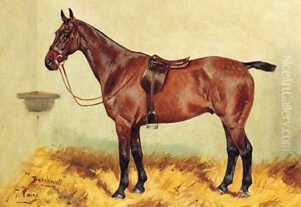 Beechnut, a bay Hunter in a Stable Oil Painting by George Paice