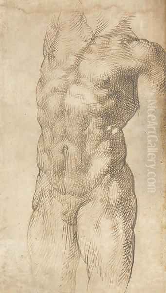 A nude male torso Oil Painting by Bartolomeo Passarotti