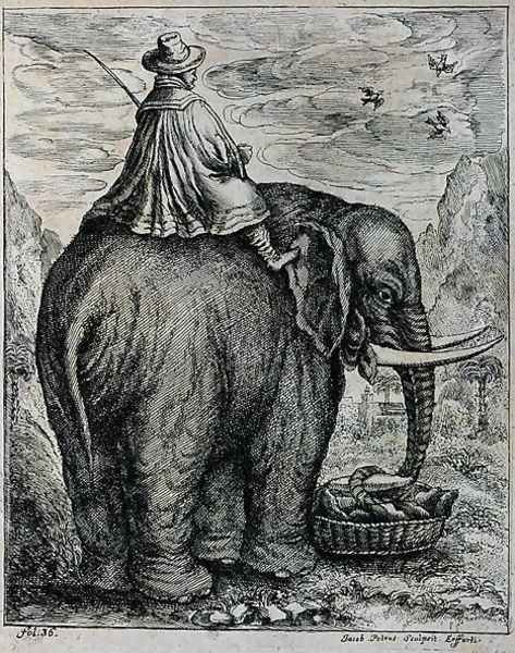 Riding an Elephant, from Elephantographia curiosa by G.C. Petri von Hartenfels, 1723 Oil Painting by Jacob Petrus