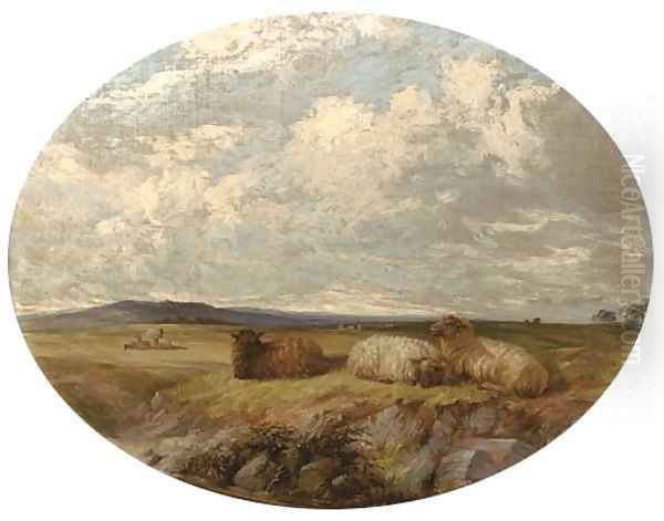 Sheep in a meadow Oil Painting by Edward Pritchard