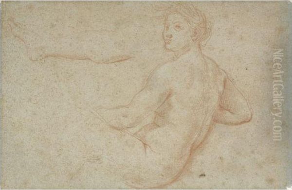 A Female Nude Reclining And A Separate Study For Her Rightleg Oil Painting by Carlo Maratta or Maratti