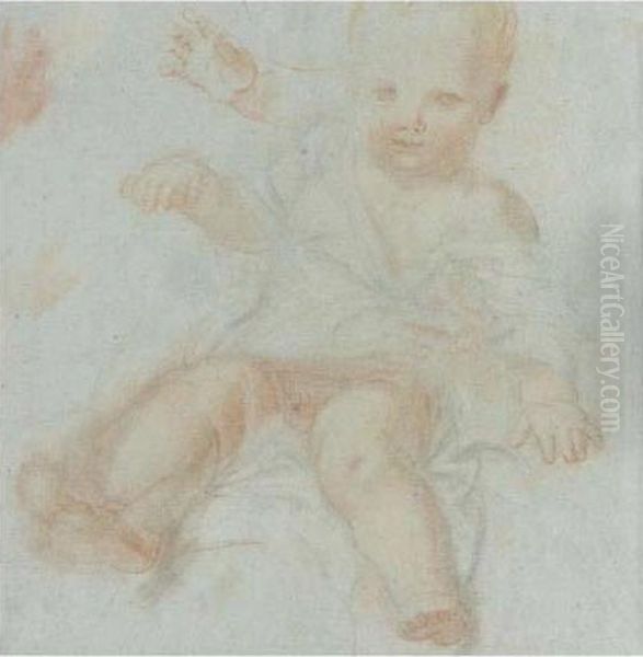 Recto And Verso: Study Of A Child Oil Painting by Carlo Maratta or Maratti