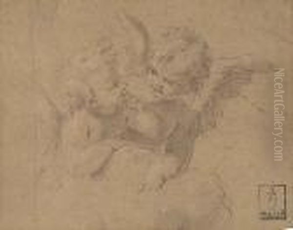 Study Of Two Cherubs Oil Painting by Carlo Maratta or Maratti