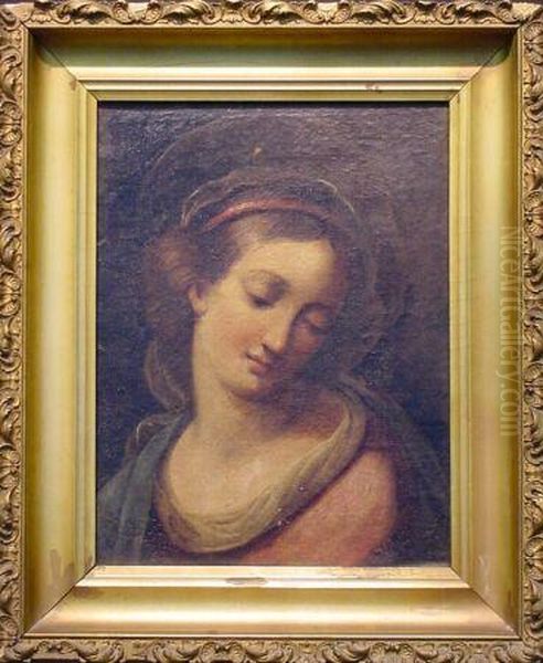 Head Of The Virgin Oil Painting by Carlo Maratta or Maratti