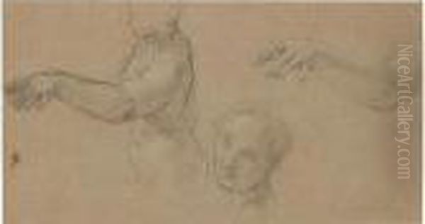 A Sheet Of Studies Of A Female Nude: Her Torso, Face And Outstretched Arm Oil Painting by Carlo Maratta or Maratti