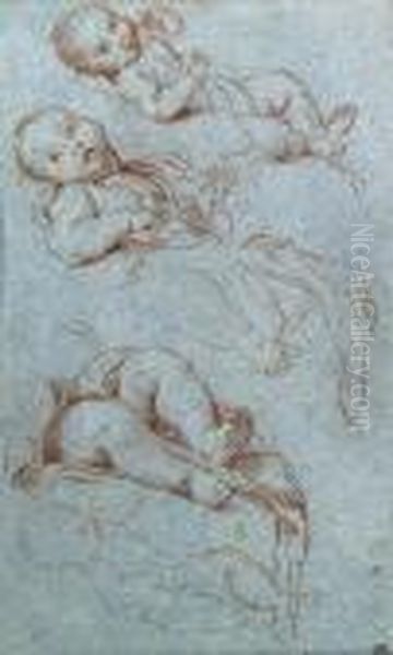 Four Studies For The Infant Virgin Oil Painting by Carlo Maratta or Maratti